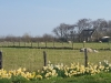 20160413_110309_001.jpg